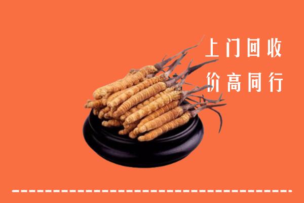 高价求购：天祝县回收散虫草