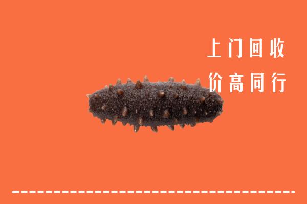 高价求购：天祝县回收海参