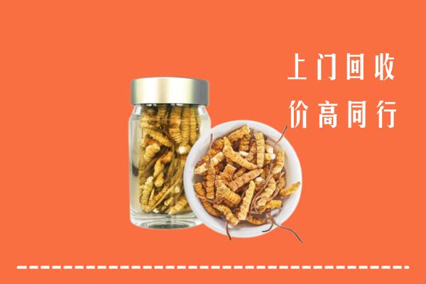 天祝县回收冬虫夏草